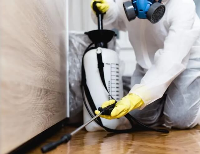 Pest Control Services in Altona
